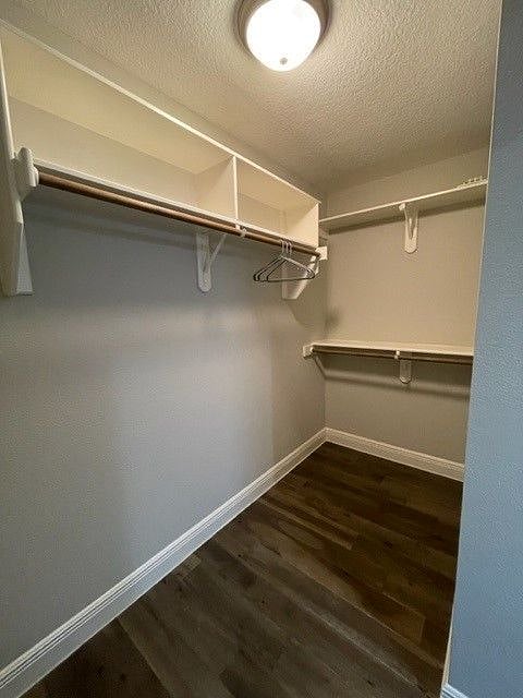 Primary bedroom closet