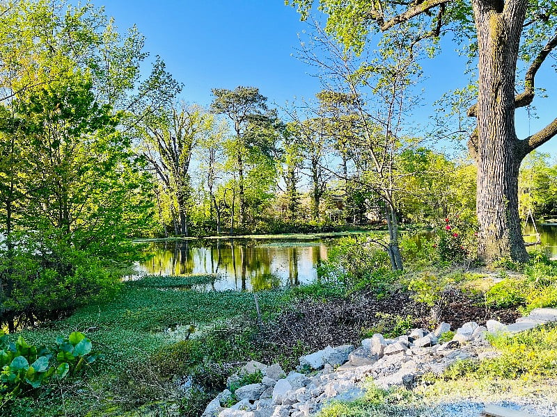 Furnished Finder property 520432_1 photo 19
