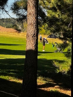 Views of the golf course