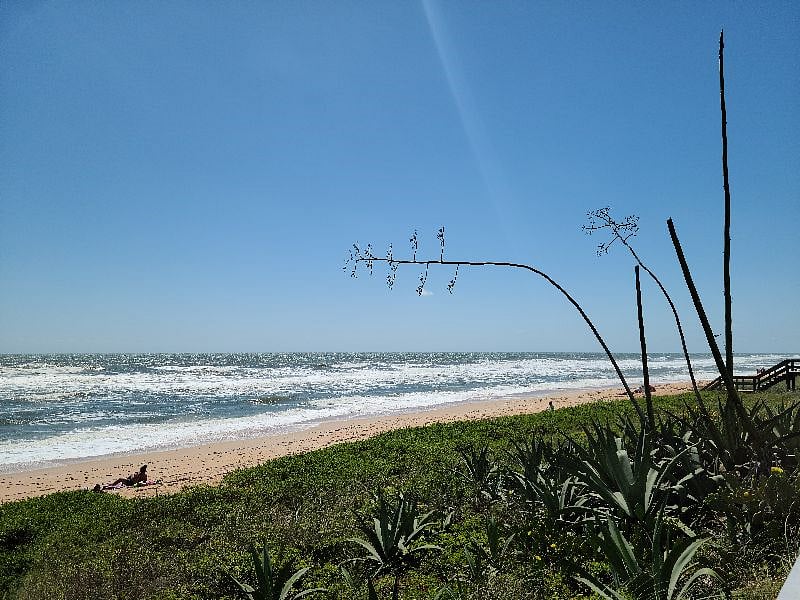Beautiful Flagler Beach is a short drive away.