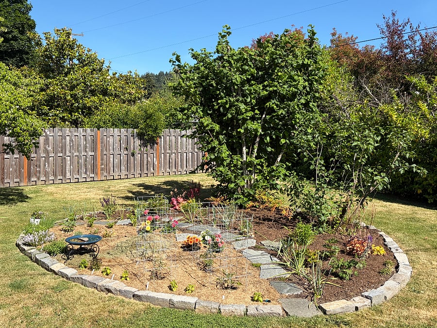 New herb and flower garden - 2026