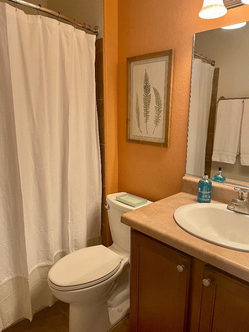 Furnished Finder property 520778_1 photo 22