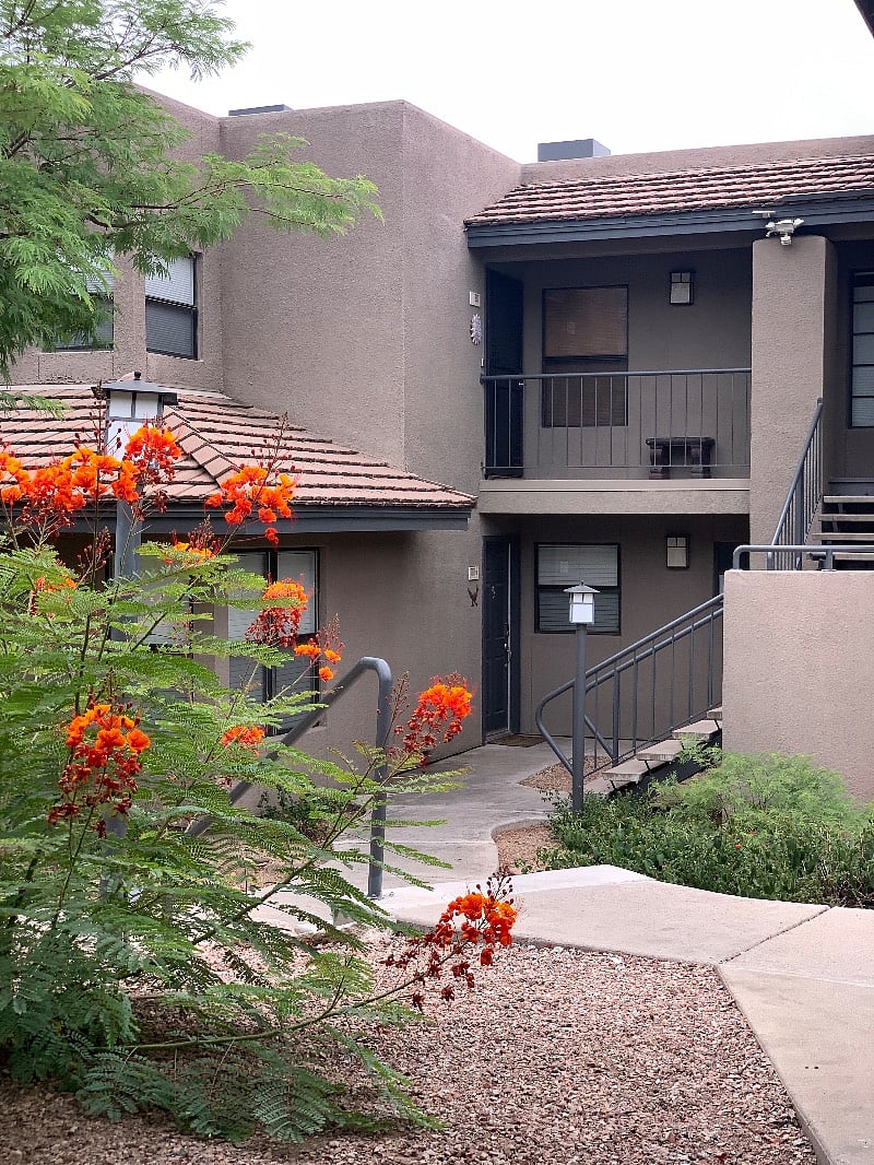 Furnished Finder property 520778_1 photo 26