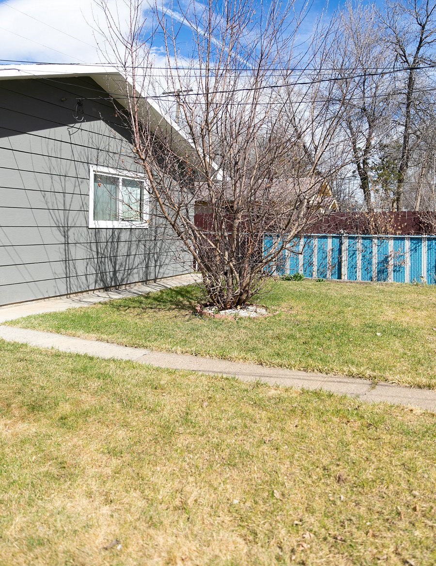 Backyard area