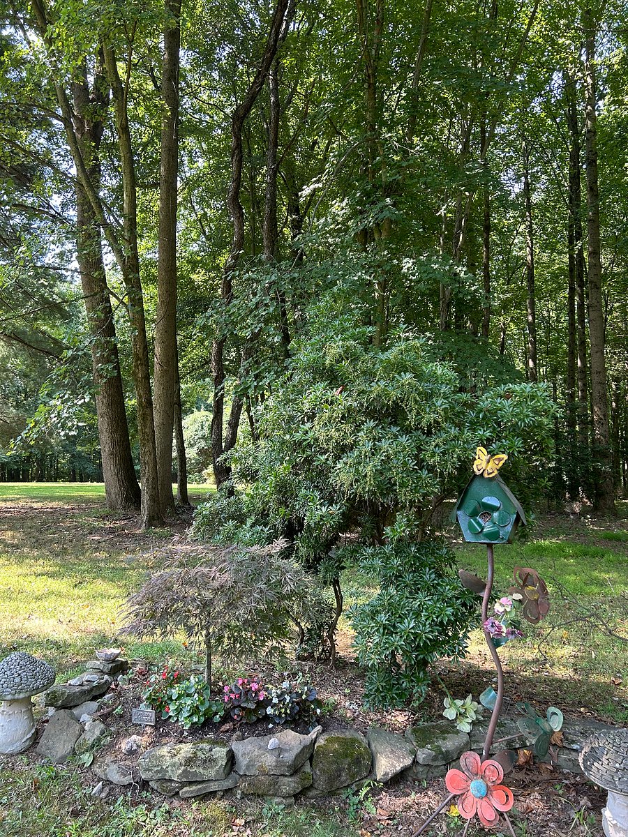 Furnished Finder property 520958_2 photo 11