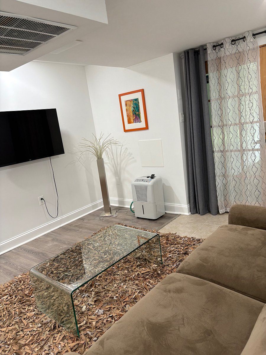 Furnished Finder property 520958_2 photo 14