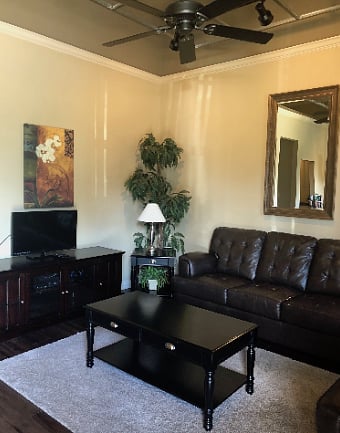Furnished Finder property 520990_1 photo 14