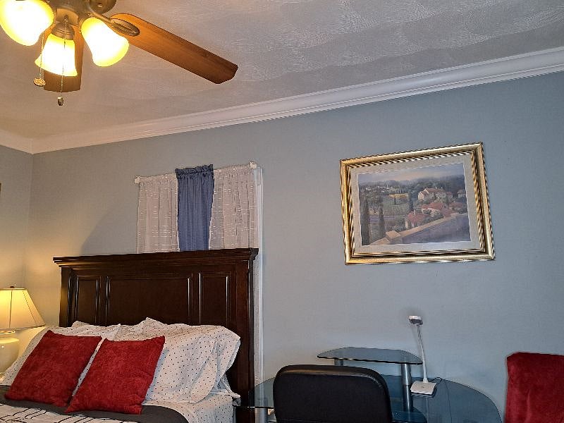 Furnished Finder property 521504_1 photo 21