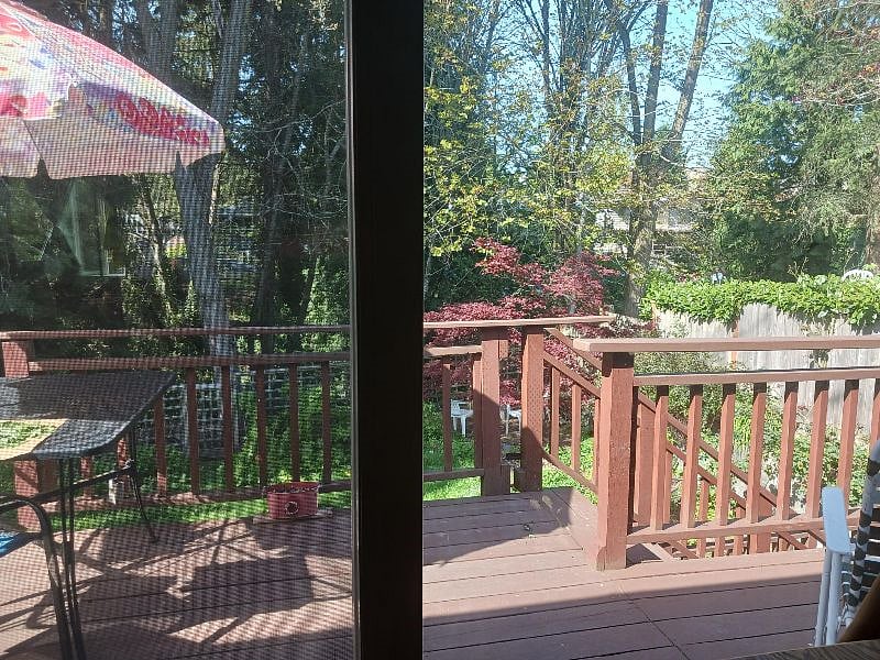 View of the backyard from the deck