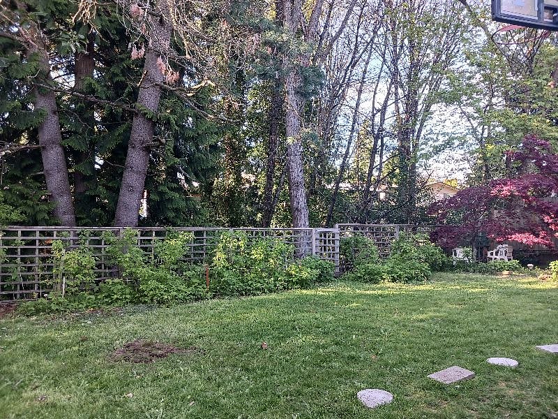 Other side of the backyard