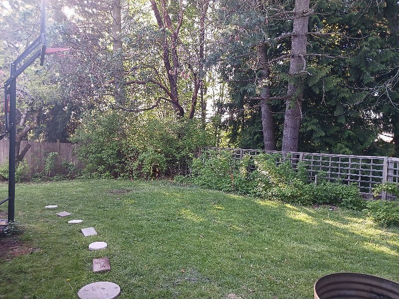 Back of the home