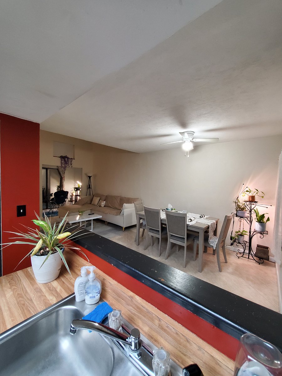Furnished Finder property 521660_1 photo 12