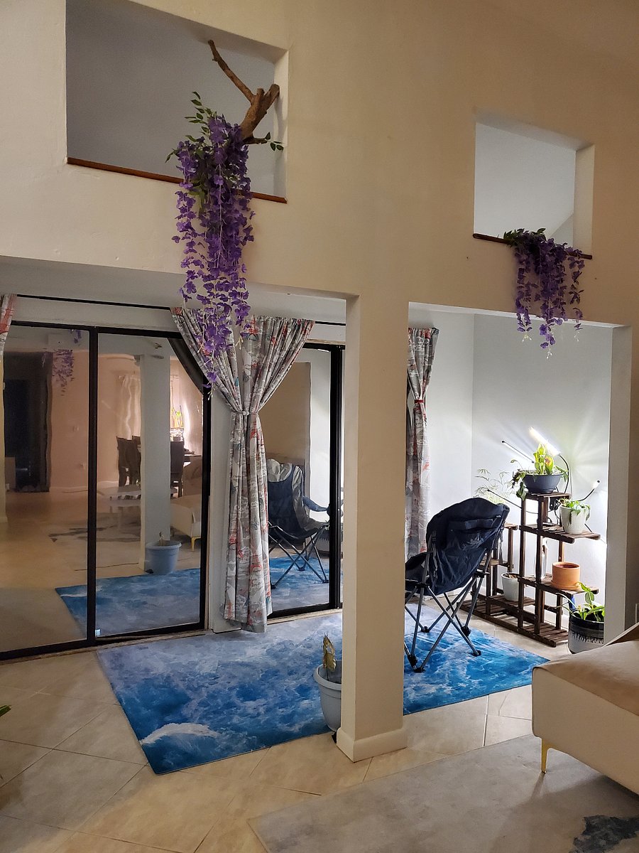 Furnished Finder property 521660_1 photo 11