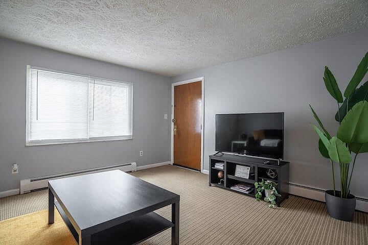 Furnished Finder property 521700_1 photo 6