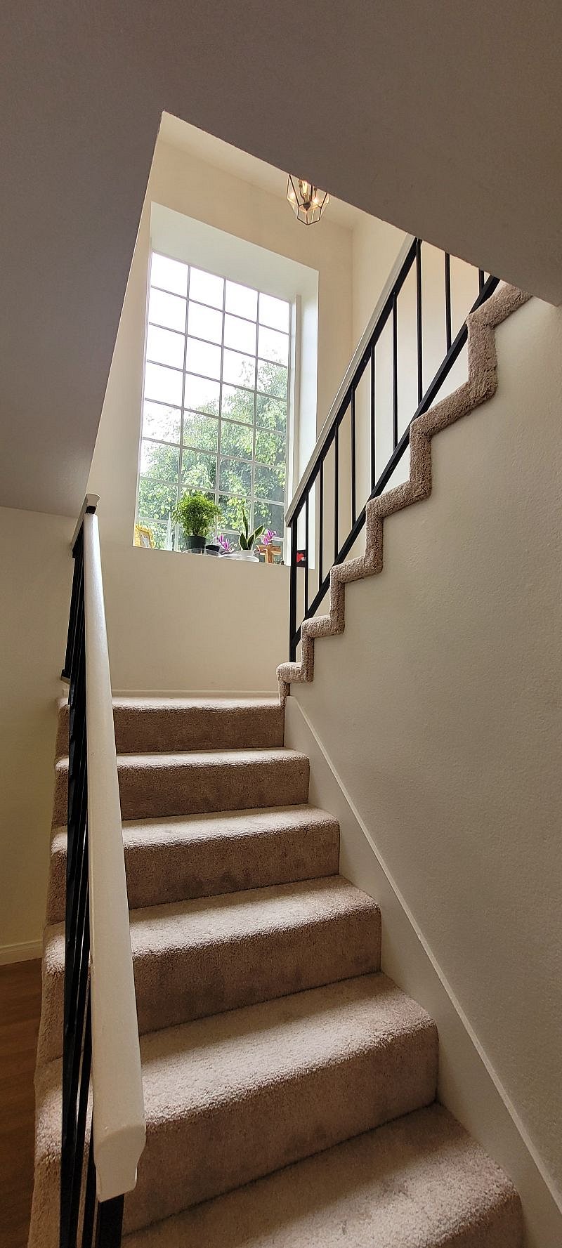 Furnished Finder property 521772_1 photo 7