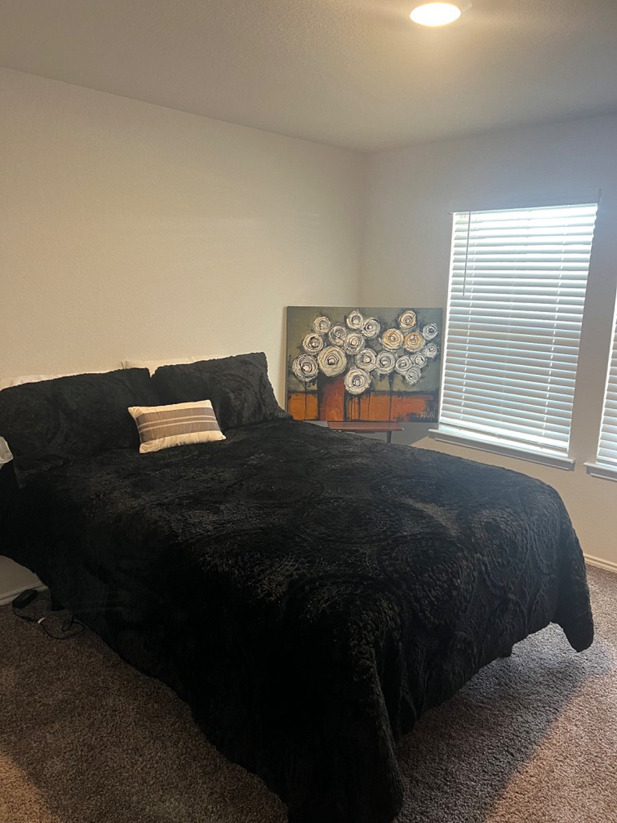 Furnished Finder property 521825_1 photo 10