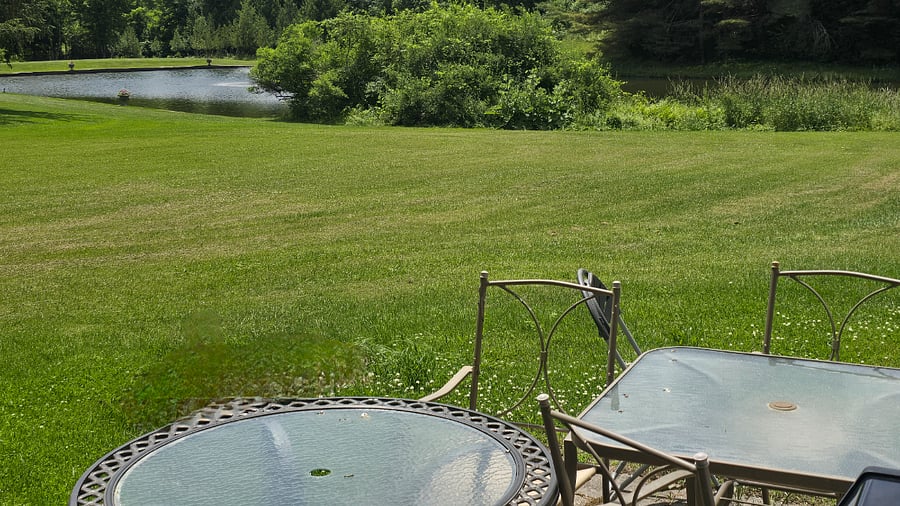 Furnished Finder property 521888_3 photo 13