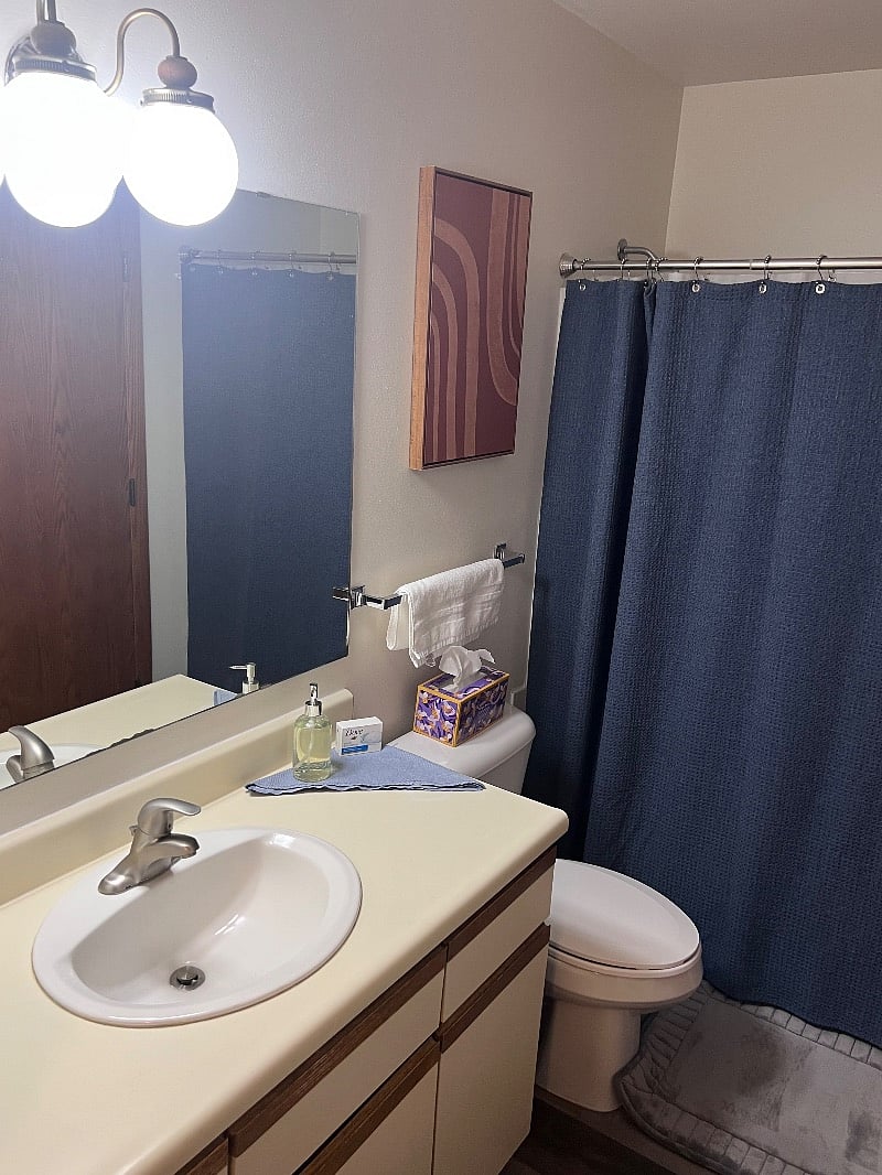 Furnished Finder property 522042_1 photo 19