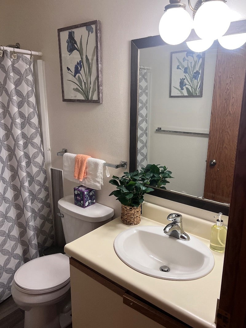 Furnished Finder property 522042_1 photo 20
