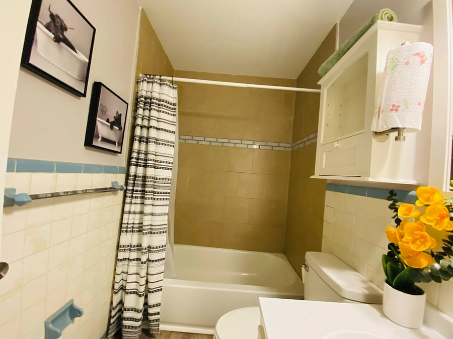 Furnished Finder property 522075_1 photo 7