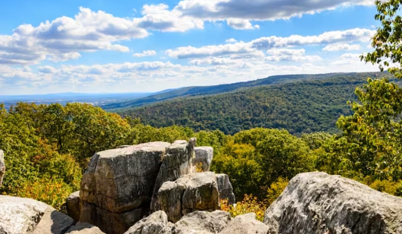 A few miles away from the property surrounded by the ridges of Catoctin Mountain, Cunningham Falls State Park is home to Marylands highest cascading waterfall. A hiking trail and a short walking path both lead to the falls.
