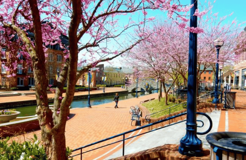 With its brick row homes, adorable boutiques, and growing culinary scene, Frederick feels like a mini-Philly but has a charm all its own.