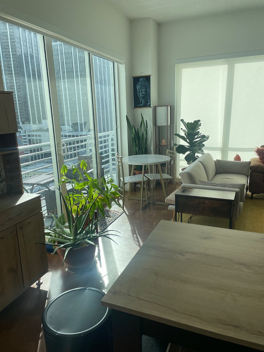 Furnished Finder property 522258_1 photo 11