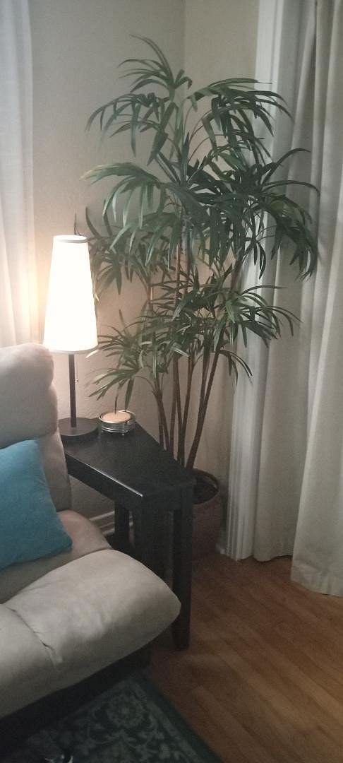 Furnished Finder property 522287_1 photo 10
