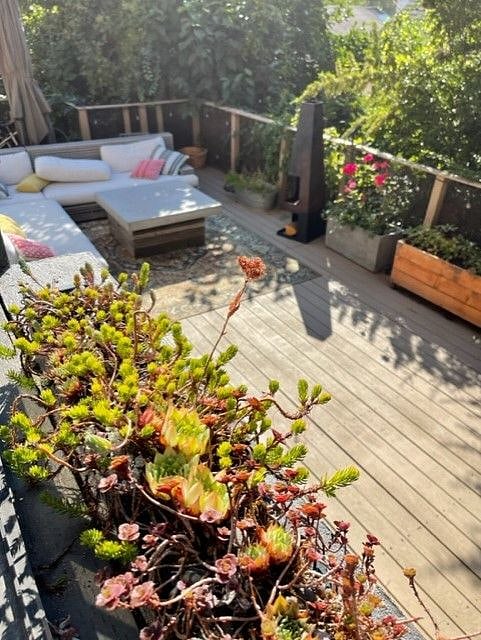Furnished Finder property 522297_1 photo 4