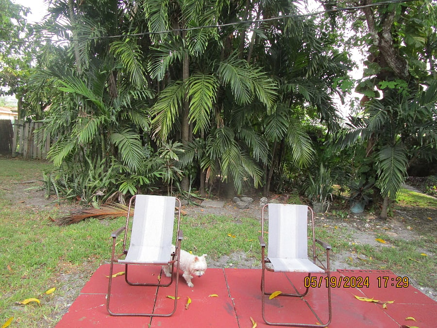 Furnished Finder property 522455_1 photo 10