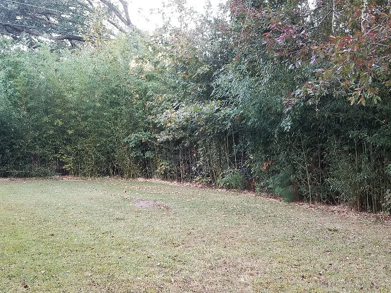 Furnished Finder property 522511_1 photo 14