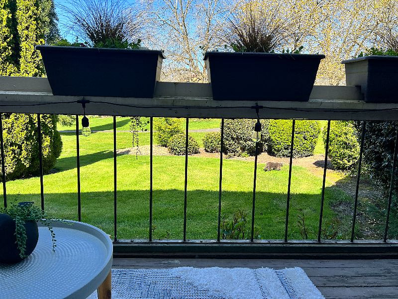 Furnished Finder property 522558_1 photo 17