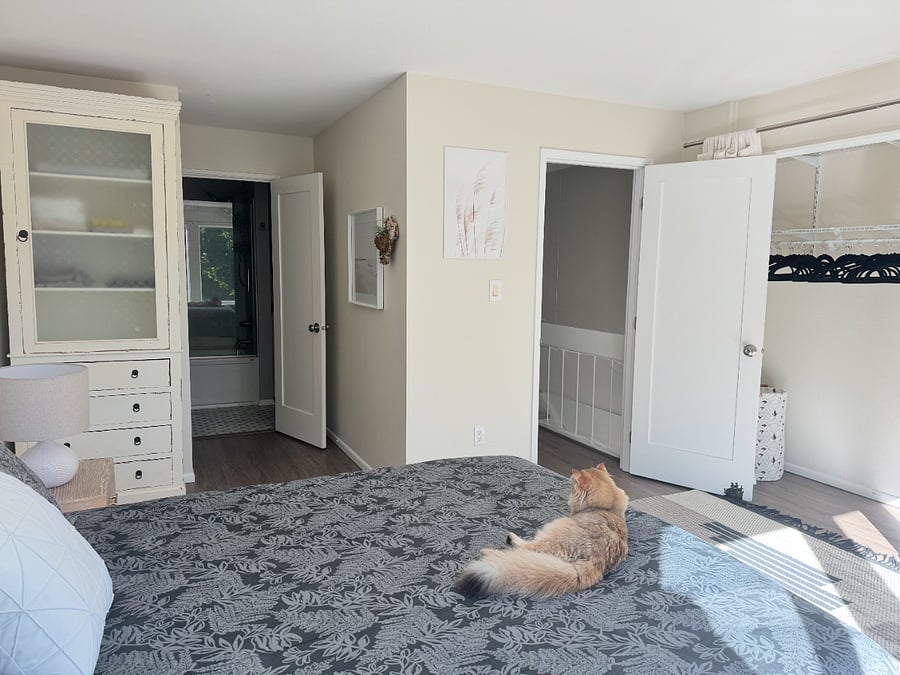 Furnished Finder property 522558_1 photo 7