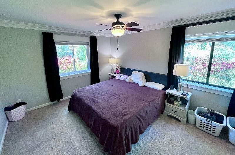 Furnished Finder property 522584_1 photo 14