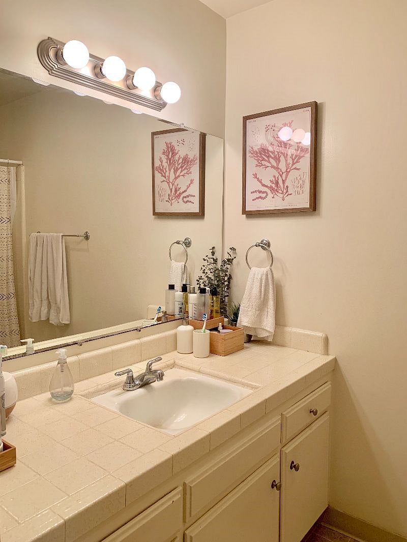 Furnished Finder property 522593_1 photo 3