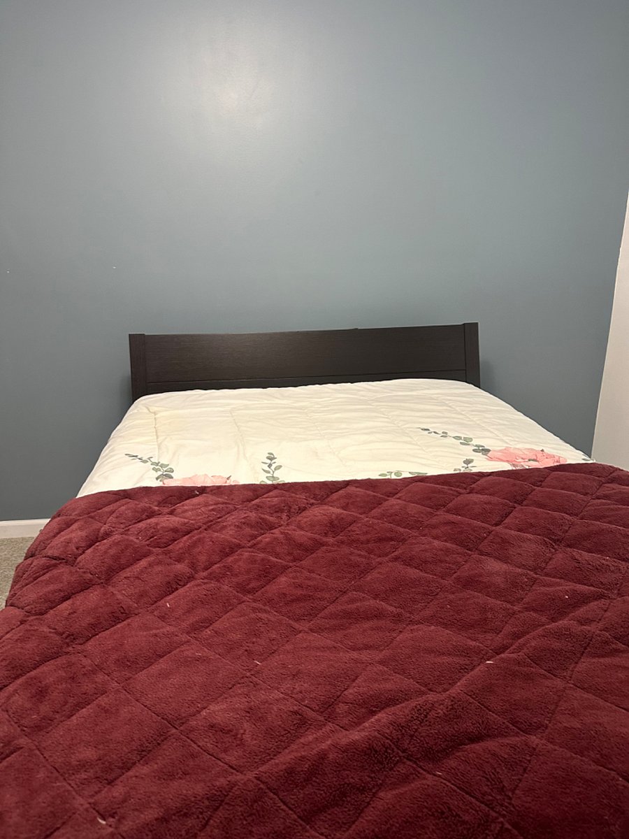 Furnished Finder property 522599_1 photo 14