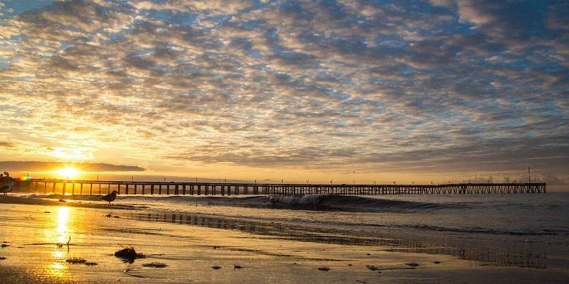 Head out west through the farmland along highway 126 to visit the beach and enjoy the creative culture of Ventura. Just an hour away