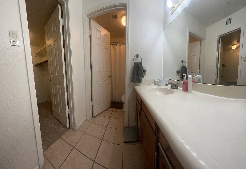 Master bathroom (full bath) with walk-in closet.