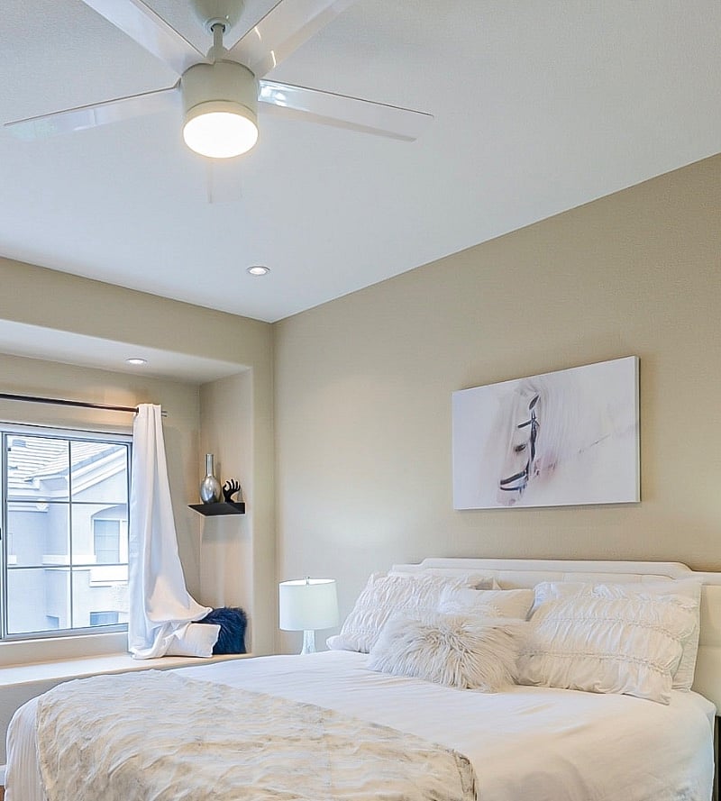 Furnished Finder property 522787_1 photo 17