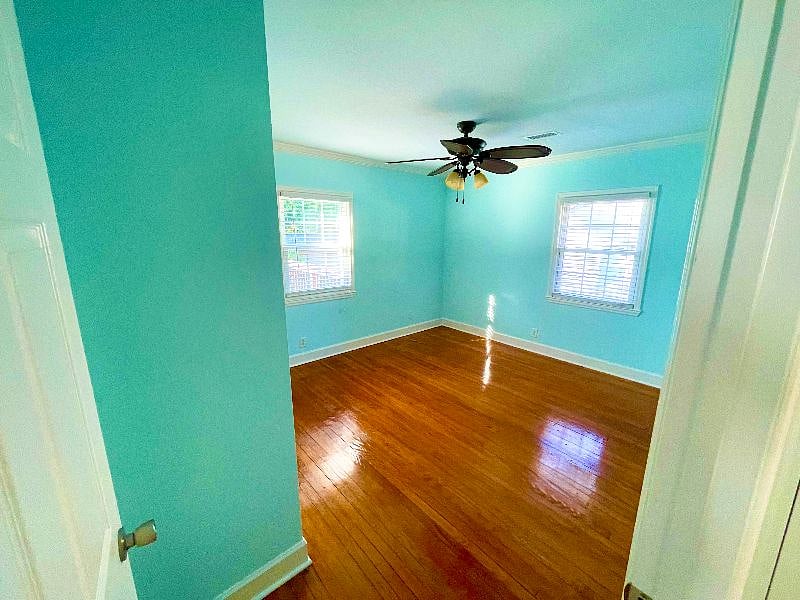 Furnished Finder property 523142_2 photo 18