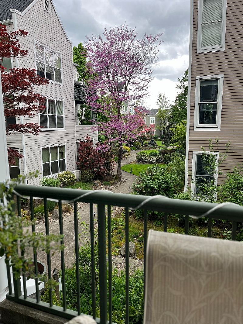 Furnished Finder property 523244_1 photo 8