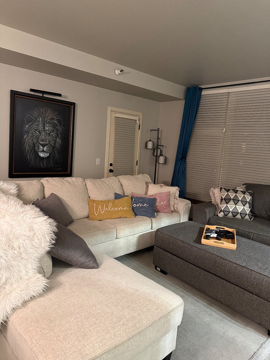Furnished Finder property 523244_1 photo 3