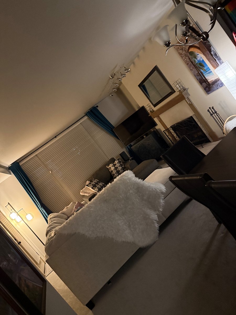 Furnished Finder property 523244_1 photo 13