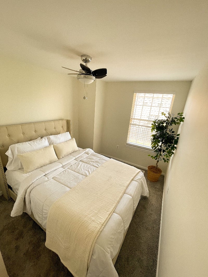 Furnished Finder property 523320_1 photo 32