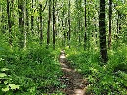 Allen Pond Park- - 4 minute drive  or 20 minute Walk from property