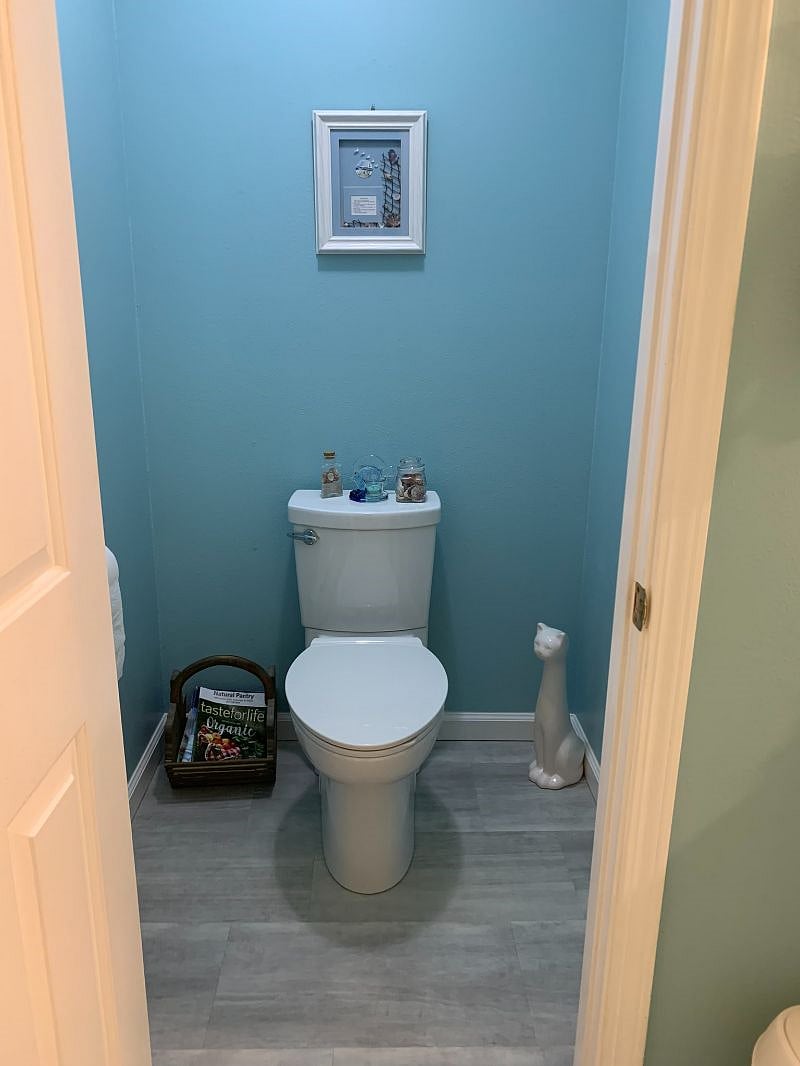 Separate water closet in bathroom