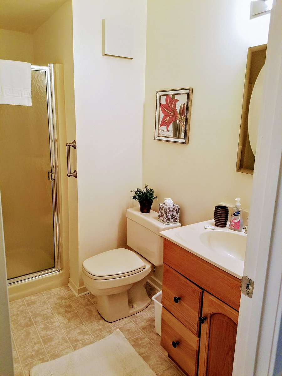Furnished Finder property 523407_1 photo 19