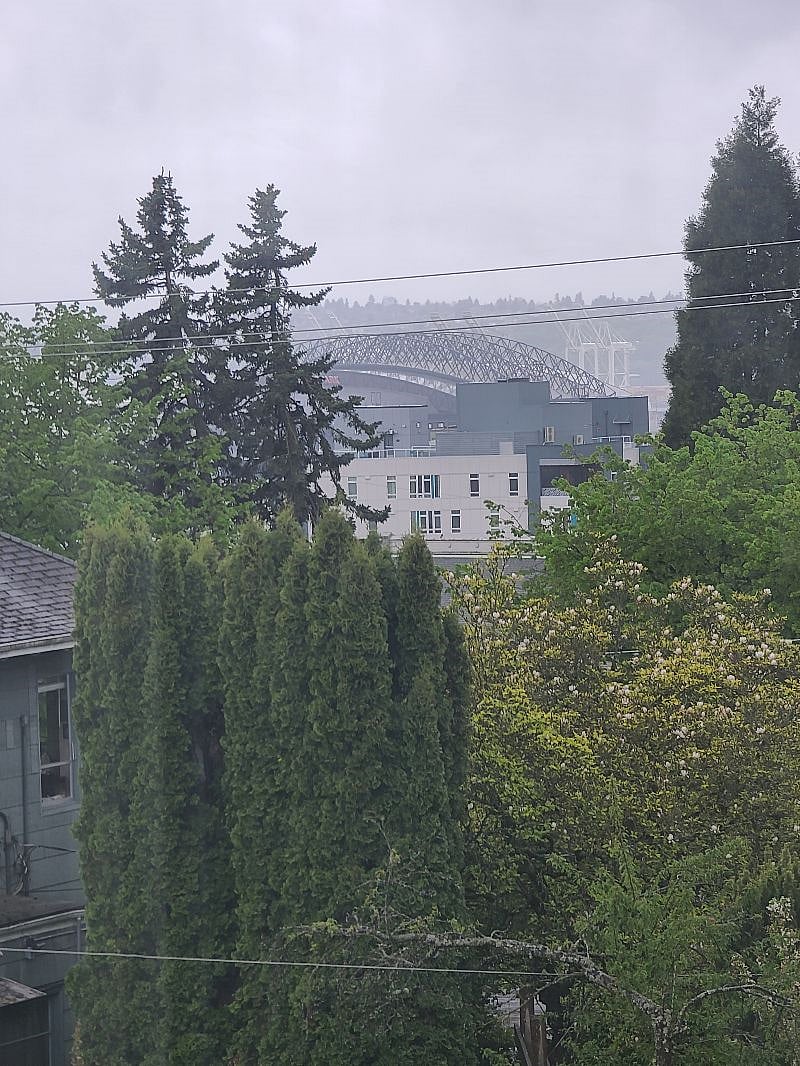 View from a window