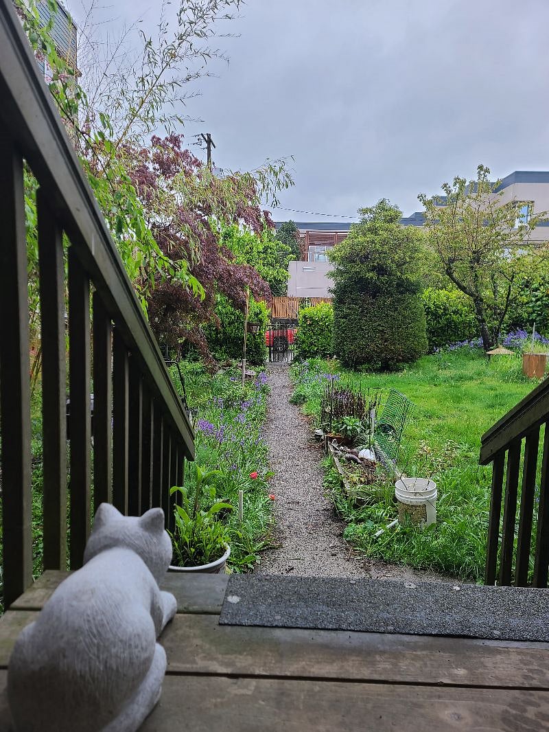 Front garden with lawn and shrubs