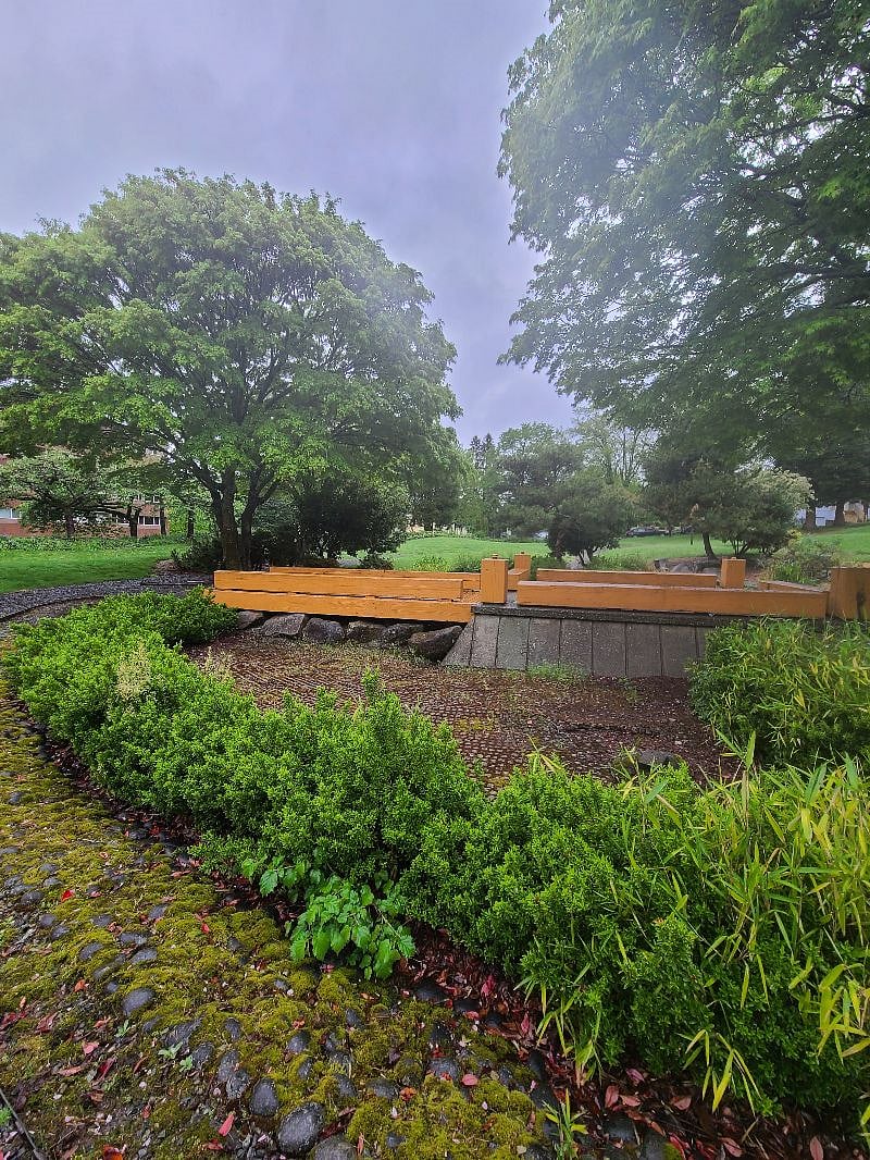 Bridge in Buddhist Park